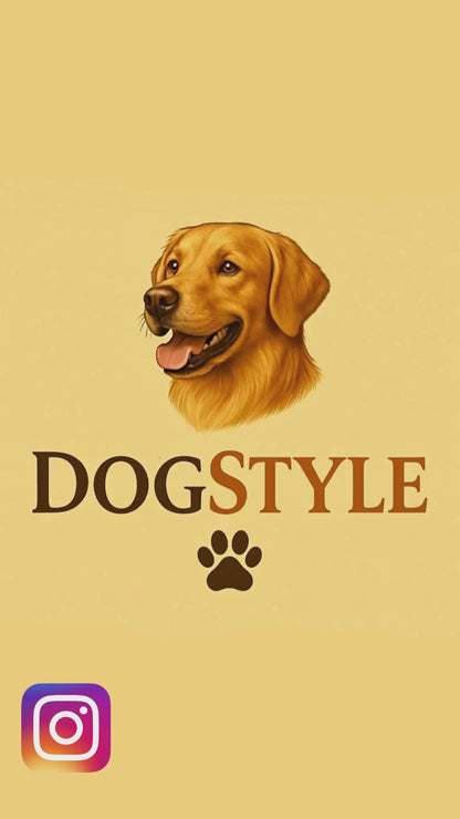 DogStyle – Suplemento Natural em Biscoitos | 1 Pote (40 Doses)
